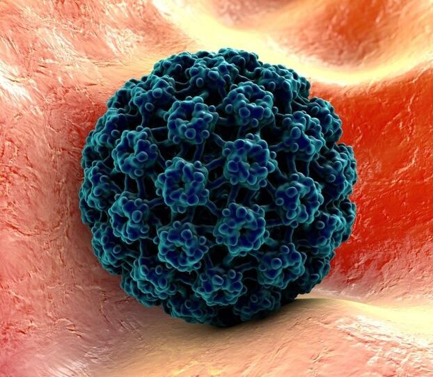 3D модел на HPV, причиняващ брадавици по ръцете